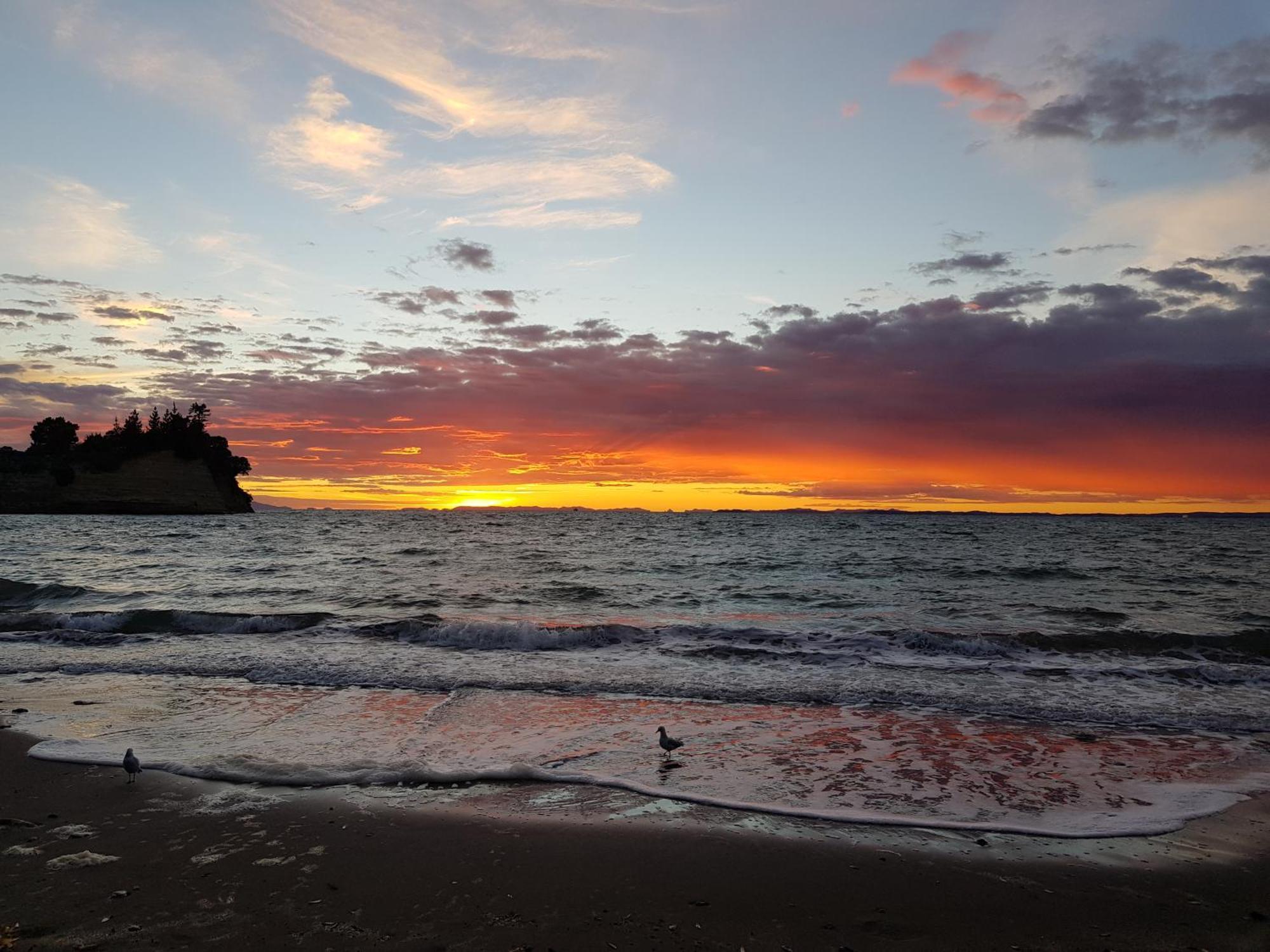Whangaparaoa Lodge Dış mekan fotoğraf