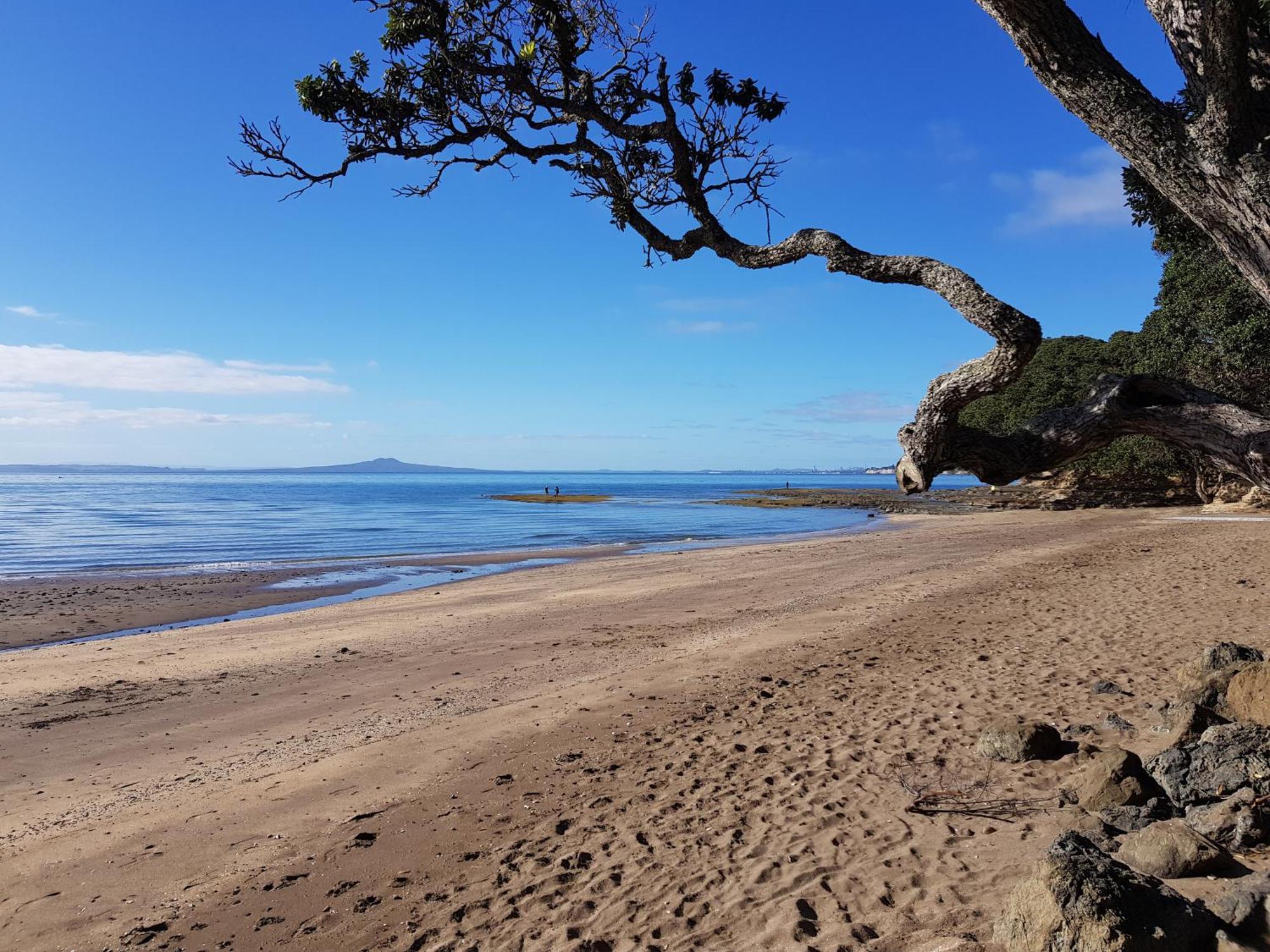Whangaparaoa Lodge Dış mekan fotoğraf